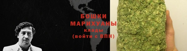 ALPHA PVP Иннополис