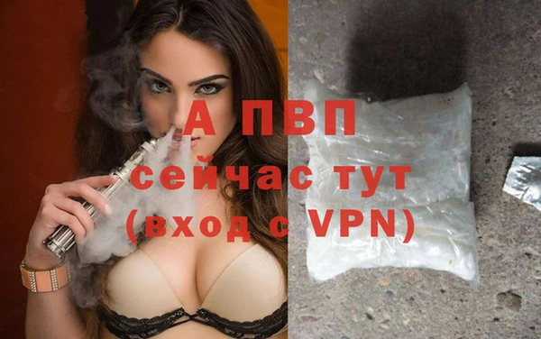 ALPHA PVP Иннополис