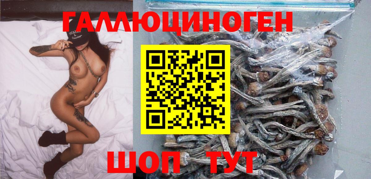 Альфа ПВП Кашира