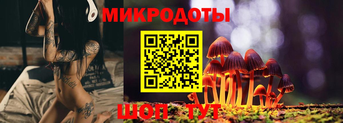 Кашира  Галлюциногенные грибы прущие грибы  где продают   Вход с VPN  Псилоцибиновые грибы прущие грибы 